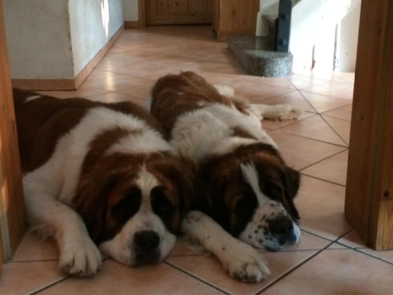 Mia und Oskar