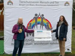 RheinNaheSteine Spenden 636 €